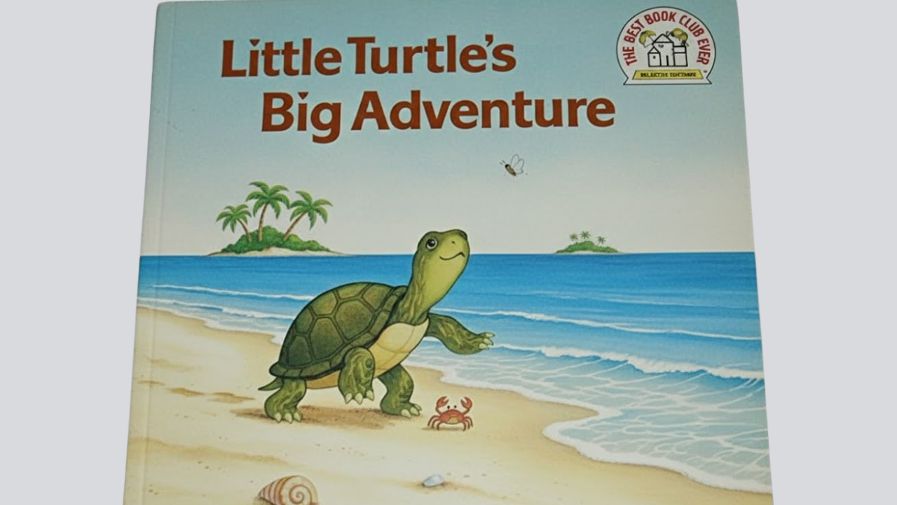 The Lost Turtle’s Big Adventure
