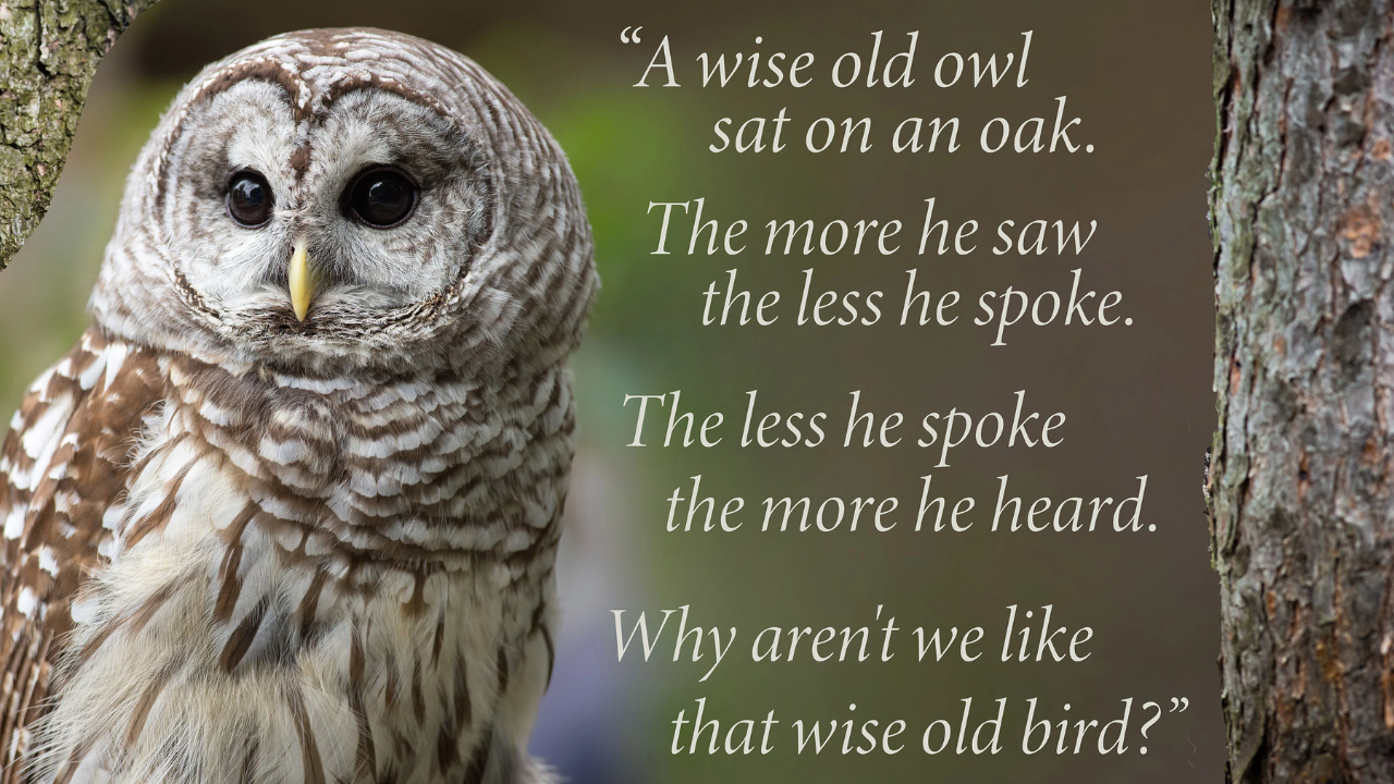 The Wise Owl Story